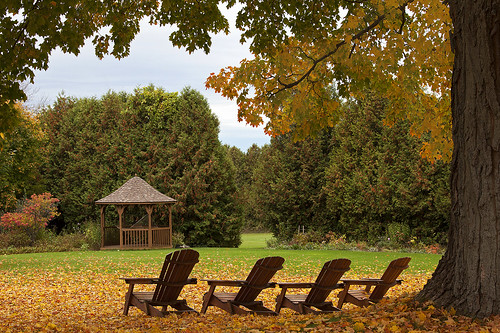 travel autumn trees orange ontario color colour tree green fall colors leaves yellow garden leaf chair grafton fallfoilage canoneos5dmarkii