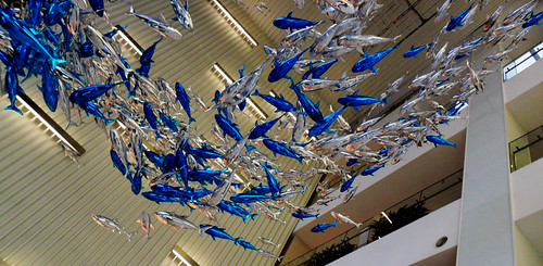 dolphins in the sky | by Digital Camera Stream