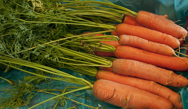 Grown in 2010 The Carrots