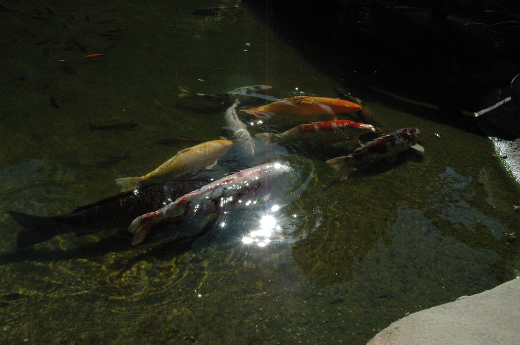 Hakone Gardens, Saratoga