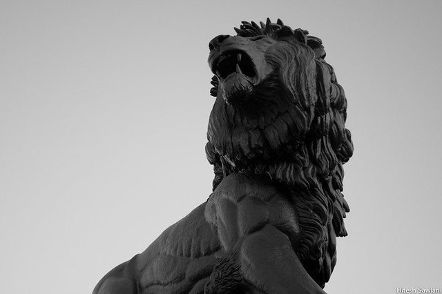 Maiwand Lion