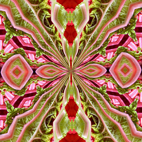 rhubarb 8 | PSP manipulation of this beautiful photo: www.fl… | Flickr