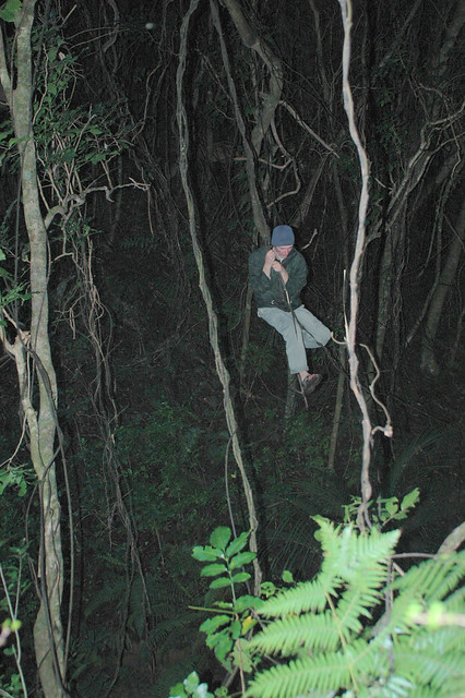 Damon Tighe swinging in Piahia, New Zealand