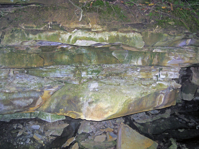 Sandstones (Lithopolis Member, Cuyahoga Formation, Lower Mississippian; Pine Quarry Park, Reynoldsburg, Ohio, USA) 2