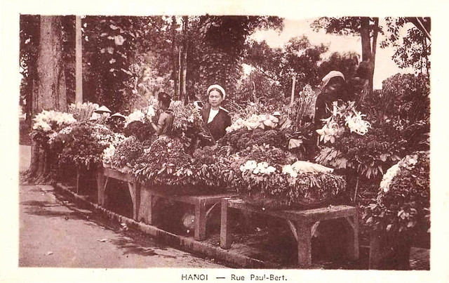 Hanoï - Rue Paul Bert - marché aux Fleurs