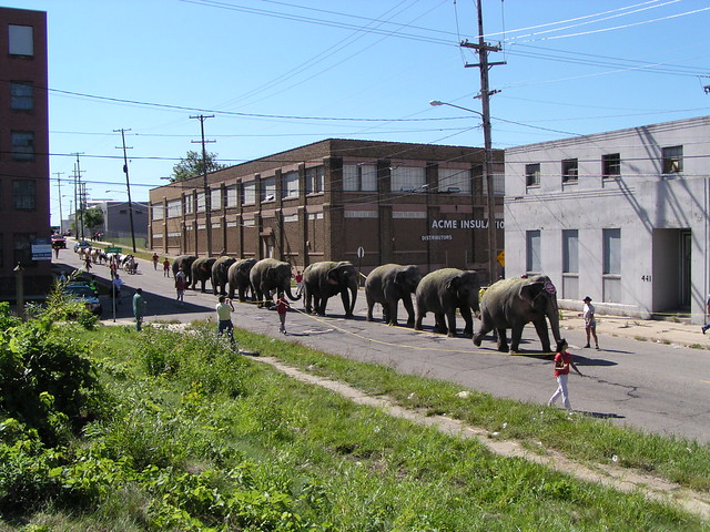 Ringling Brothers Elephant Parade
