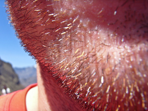 Early stages of the beard | by Adam Crew