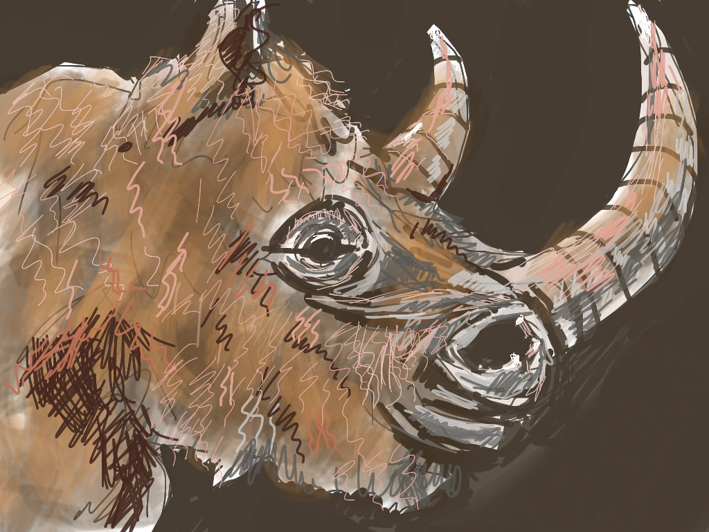 Woolly Rhino Portrait