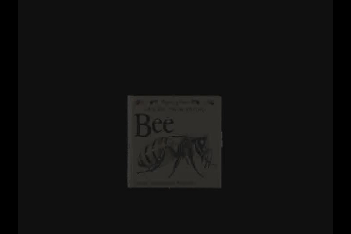 Bee : a read-about, fold-out, and pop-up