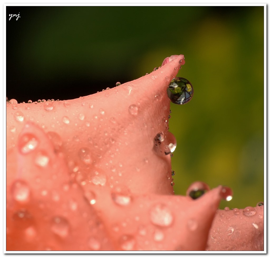 A Drop of water contains the whole world! by Yogendra174