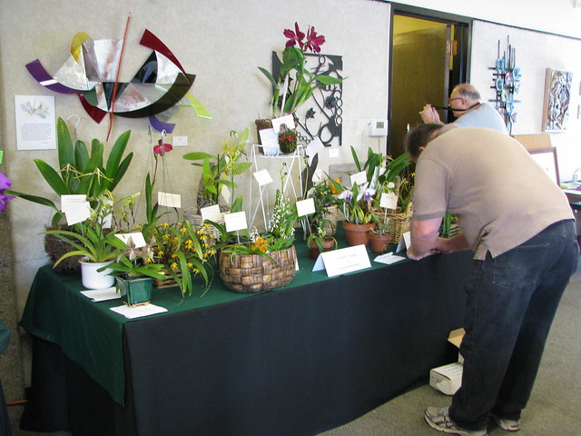 Set up, Orchid Society of Santa Barbara