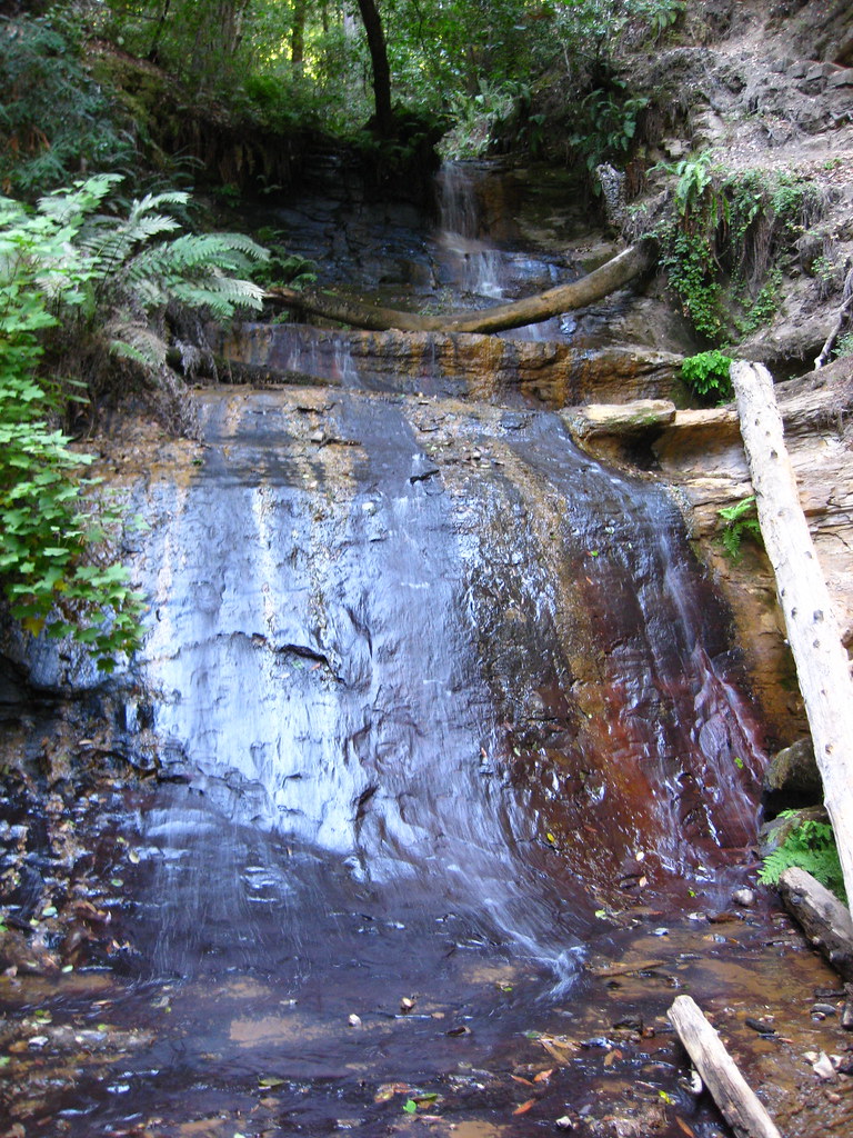 Big Basin/Berry Creek Falls