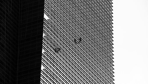 Window cleaners | by LimitedExpress