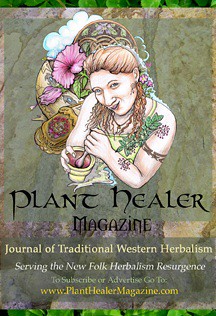 Plant Healer Banner