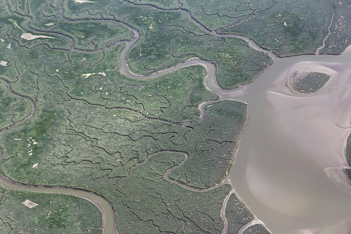 dee estuary saltmarsh parkgate wirral cheshire uk channel gully river fractal sandbank marsh aerialview