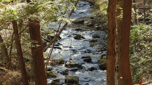 vaughanstream hallowell stream vaughanwoods hobbitland preserve naturepreserve hiking hikingtrails trails naturetrails maine rong58 usa images spring pictures photooftheday day image color photography photo photos us light trip nikon picture digitalcamera picoftheday nikoncoolpixp900 coolpix photograph new live geotagged nature travel exploration landscape