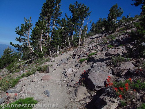 Hidden Valley Trail, Shasta-Trinity National Forest, California