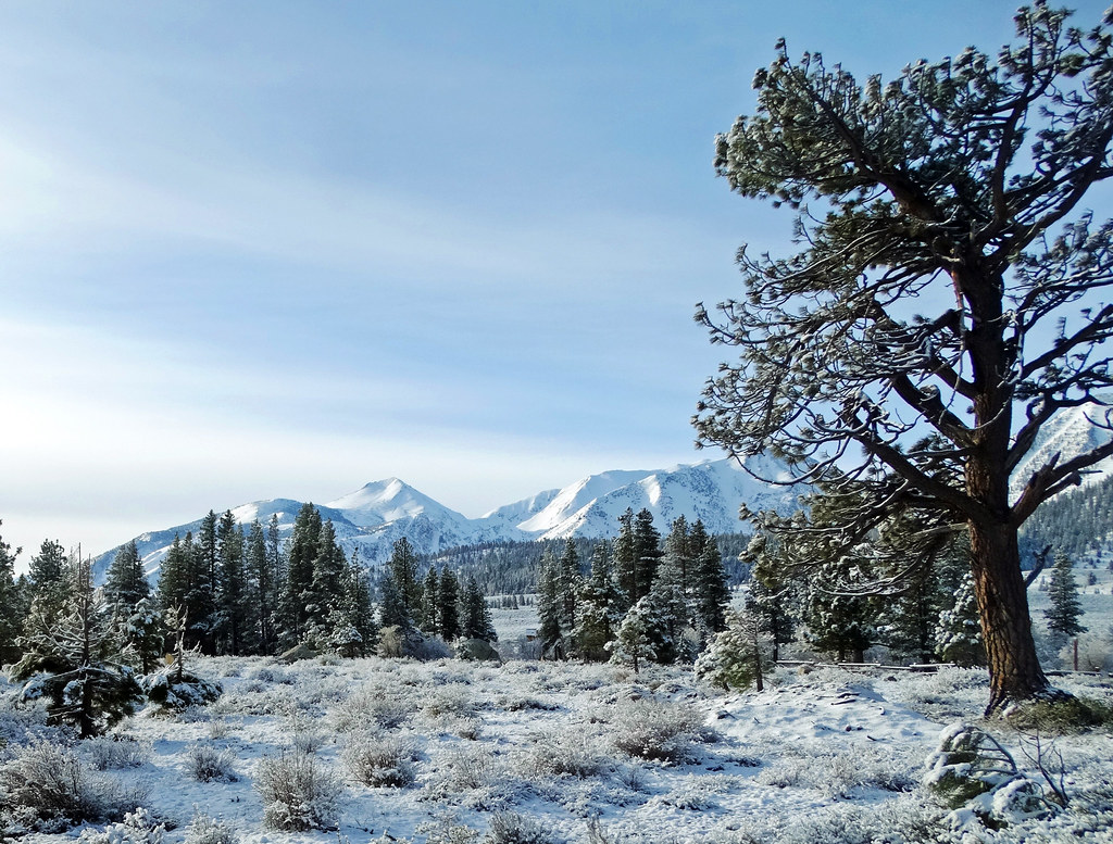 Mammoth Rock Trail