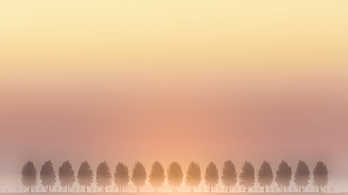 ifttt 500px yellow trees sky sunrise fog morning forest sunset travel sun light clouds tree beautiful netherlands warm pink repetition dutch repeat creil tulpenroute