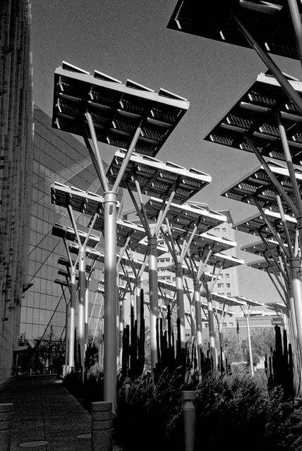Solar Panels at Las Vegas City Hall