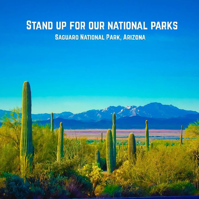 Stand Up for Our National Parks. Saguaro National Park, Arizona