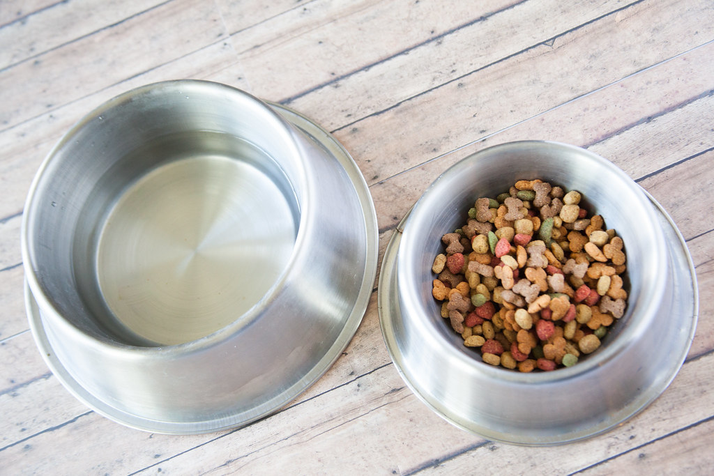 Can Dogs Safely Consume Olives? Benefits and Risks Explained Discover if olives are safe for your furry friend. Read our guide on can dogs eat olives.