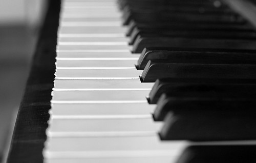 Ebony and Ivory live together in perfect harmony... (P McCartney and S Wonder) | by John (Thank you for >3 million views)