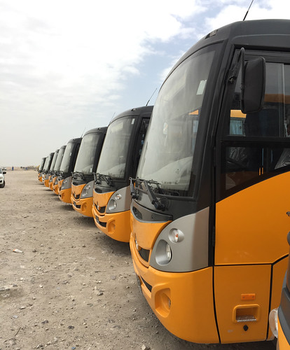 QP BUS (2)