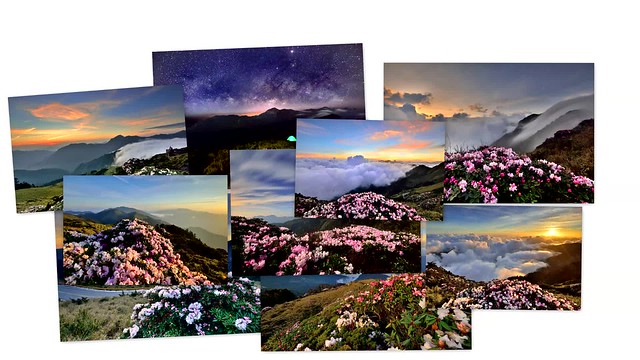 ~合歡山杜鵑花雲海●銀河●星空縮時~  Time lapse of Taiwan Alpine Rhododendron