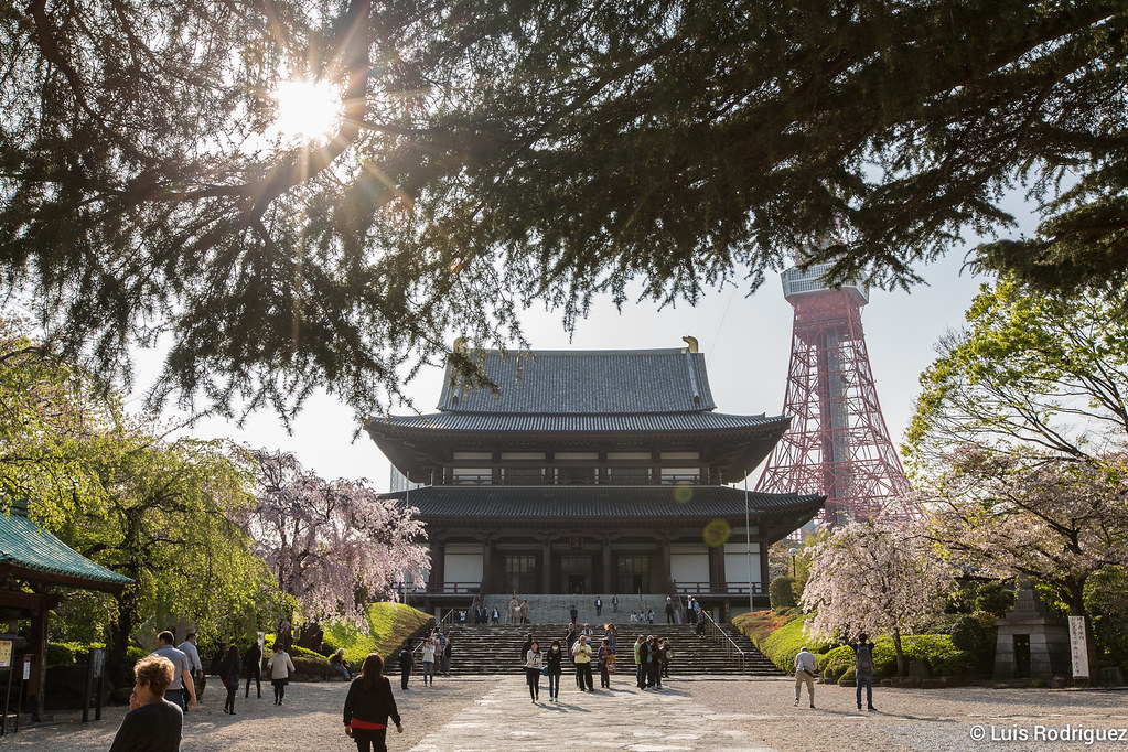 Templo Zojoji y Torre de Tokio en primavera