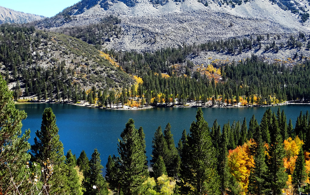 How to Sign Up for Sierra County Emergency Alerts and What to Expect When a Warning Goes Out