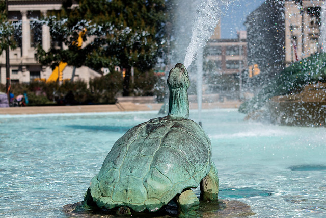 Fountain Turtle