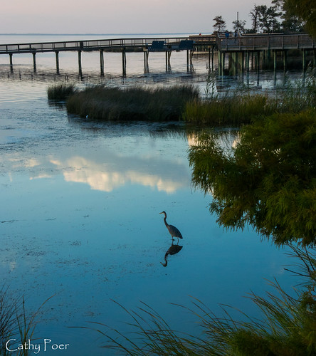 outer banks 2014-34 | by Poer Girl Pics