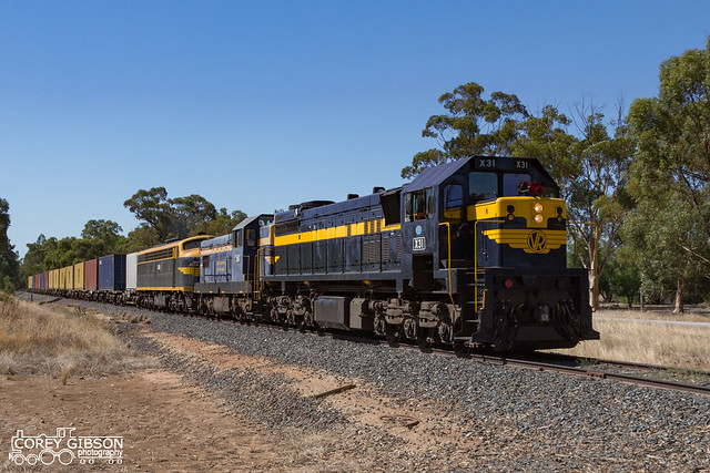 Tocumwal service with all Blue and Gold X31, T356 & S303.