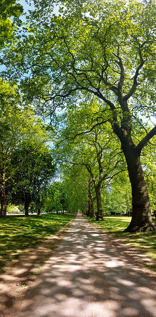 Path in Hyde Park
