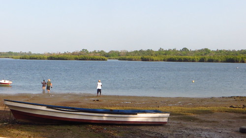 africa guineabissau landscape boats