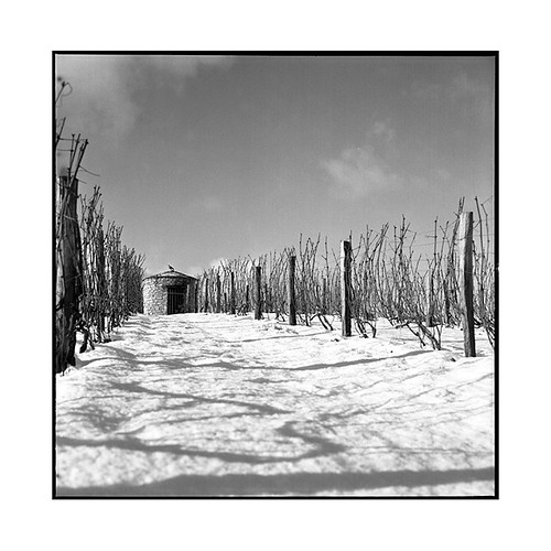 rolleiflex planar corcelles burgundy bourgogne vineyard vignes snow neige winter hiver cabotte cabin