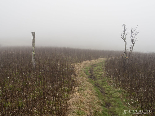 appalachiantrail usa virginia damascus unitedstates us