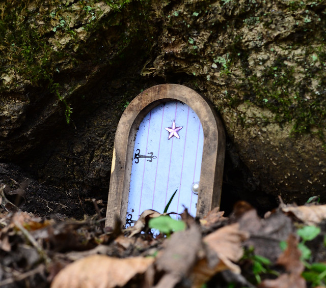 Fairy's Door Fairy Glen Wood