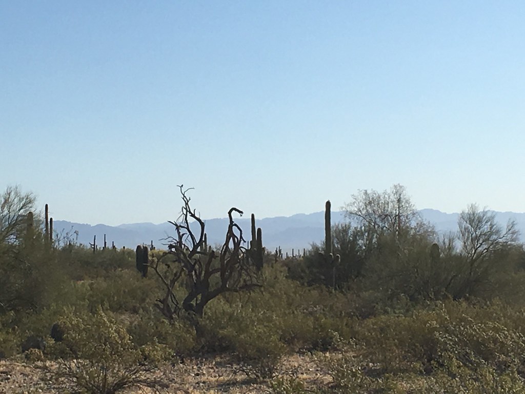 San Tan Trail