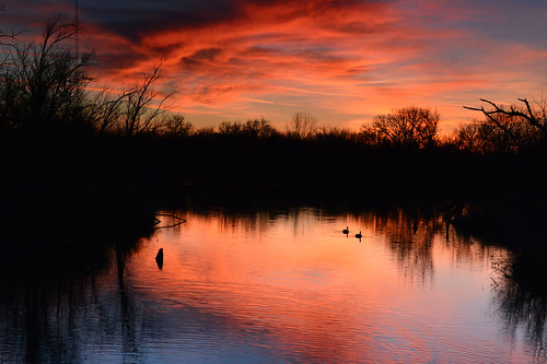 sunset water reflection geese chisholmcreekpark wichita kansas