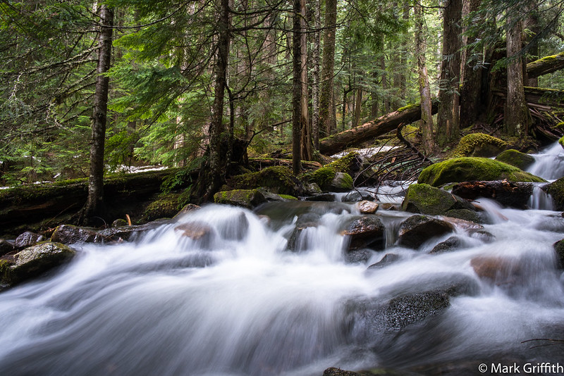 Mason Creek Flow