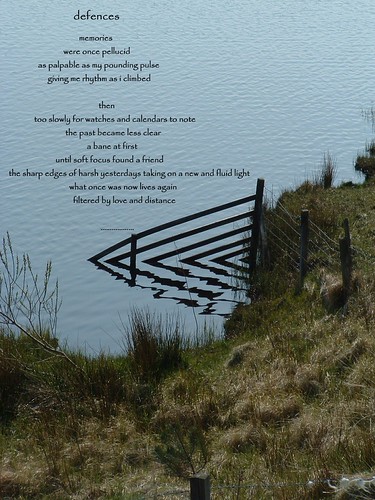 defences | by floots