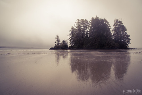 beach fog landscape mist ocean reflection sand schoonercove silhouette tofino trees water nikon d800 britishcolumbia
