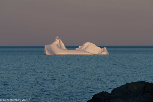 iceberg icebergs newfoundland canada