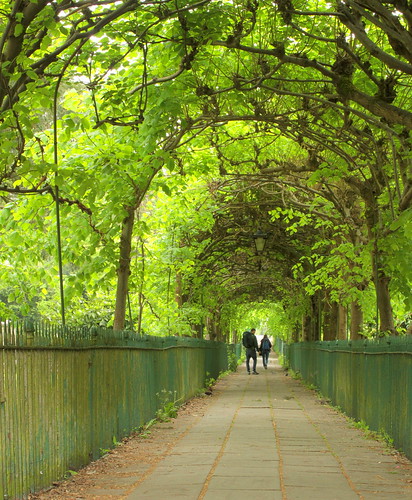 flickrfriday birdcagewalk clifton couple moment trees streetphotography footpath bristol framedit 7dwf landscapephotography backpackers