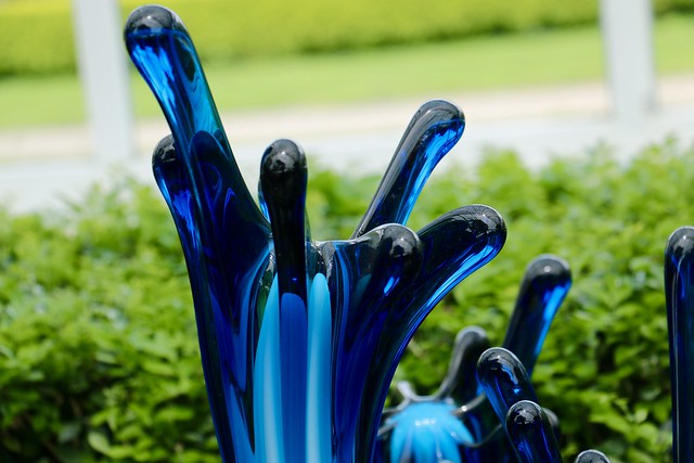 Chihuly at New York Botanical Garden