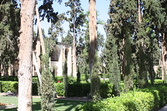 Jardin Fin, Kashan