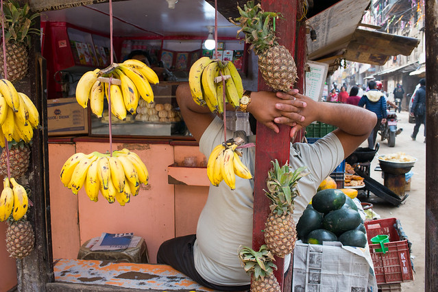 Portrait of a fruit seller