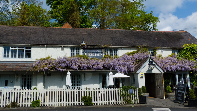 Mermaid Inn, wisteria
